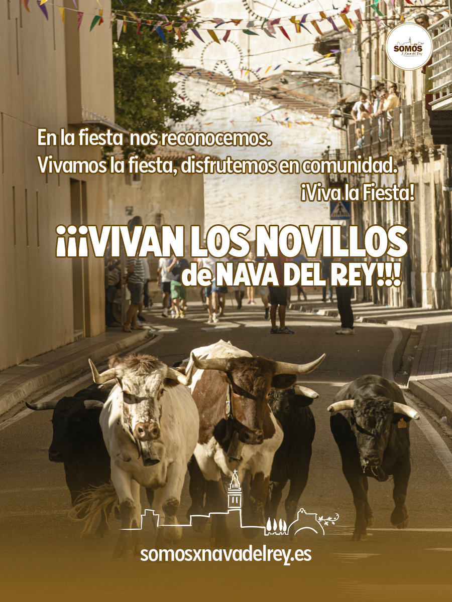 Felices Fiestas de los Novillos 2024